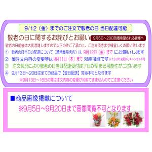 敬老の日専用デザイナーにおまかせフラワー20,...の詳細画像4