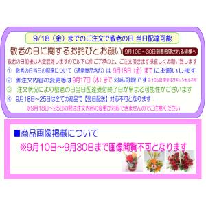 敬老の日専用デザイナーにおまかせフラワー20,...の詳細画像4