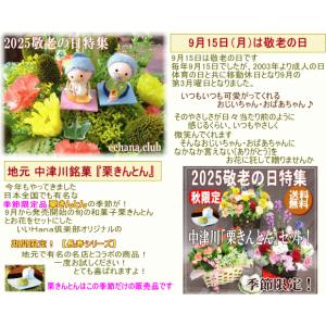 敬老の日専用デザイナーにおまかせフラワー20,...の詳細画像5