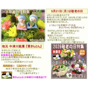 敬老の日専用デザイナーにおまかせフラワー20,...の詳細画像5