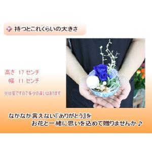 2025敬老の日プリザ 中津川 栗きんとん と...の詳細画像3