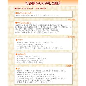 2025敬老の日プリザ 中津川 栗きんとん と...の詳細画像5