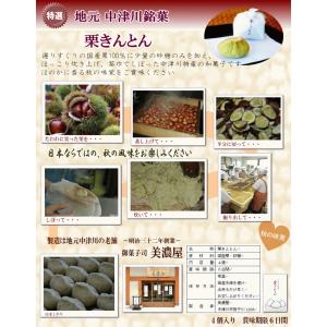 2025敬老の日プリザ 中津川 栗きんとん と...の詳細画像4