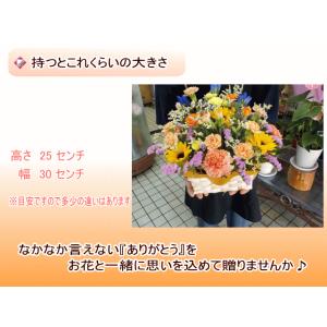 2026敬老の日 売れてます 人気の宝寿アレン...の詳細画像2