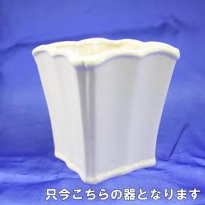お供え専用プリザーブドフラワー 今だけ 3,2...の詳細画像5