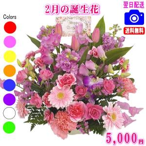 花 ギフト 誕生日 2月の誕生花チューリップデザイナーにおまかせフラワー5,000円