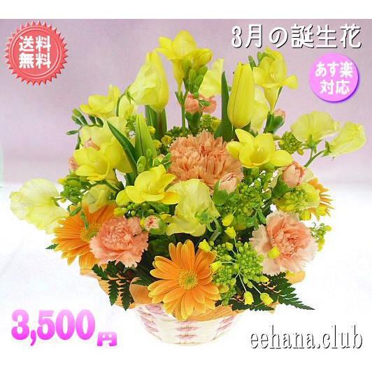 花 ギフト 誕生日 3月の誕生花 オレンジアレンジ3,500円 送料無料 翌日配達  花言葉付き  ...