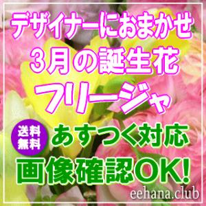 花 ギフト 誕生日 3月の誕生花 フリージア デザイナーにおまかせフラワー5,000円 送料無料 翌...