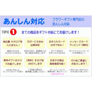 花 ギフト 誕生日 4月の誕生花 オレンジアレ...の詳細画像4