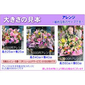 花 ギフト 誕生日 フラワーアレンジメント 花...の詳細画像3