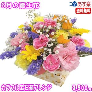 花 ギフト 誕生日 6月の誕生花 カラフル宝石箱アレンジメント花言葉付き3,500円 送料無料 翌日配達   あすつく対応   バラ   写真付きメッセージ選択可