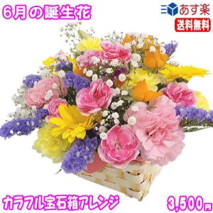 花 ギフト 誕生日 6月の誕生花 カラフル宝石箱アレンジメント花言葉付き3,500円 送料無料 翌日配達   あすつく対応   バラ   写真付きメッセージ選択可｜eehana