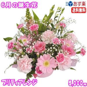 花 ギフト 誕生日 6月の誕生花 プリティアレンジ5,000円 送料無料 翌日配達  花言葉付き あすつく対応   バラ   写真付きメッセージ選択可｜eehana