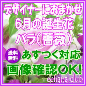 花 ギフト 誕生日 6月の誕生花 デザイナーにおまかせ5,000円 送料無料 翌日配達   あすつく対応   カーネーション   フラワーアレンジ・花束｜eehana