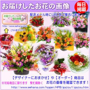 花 ギフト 誕生日 6月の誕生花 デザイナーに...の詳細画像1
