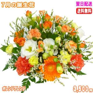 花 ギフト 誕生日 7月の誕生花 オレンジアレン...の商品画像