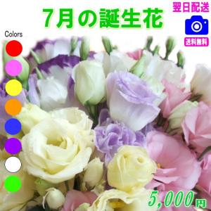デザイナーにおまかせ 花 ギフト 誕生日 7月の誕生花5,000円 送料無料 翌日配達   フラワーアレンジ・花束
