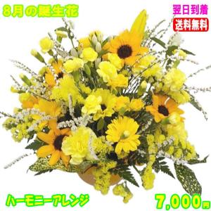 花 ギフト 誕生日 8月の誕生花　ひまわりハーモニーアレンジ7,000円 送料無料 翌日配達  花言葉付　あすつく対応｜eehana