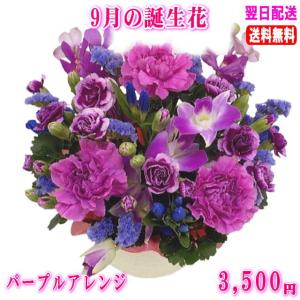 花 ギフト 誕生日 9月の誕生花 パープルアレ...の詳細画像1