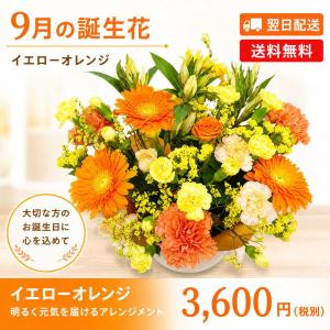 花 ギフト 誕生日 9月の誕生花 イエローオレ...の詳細画像1