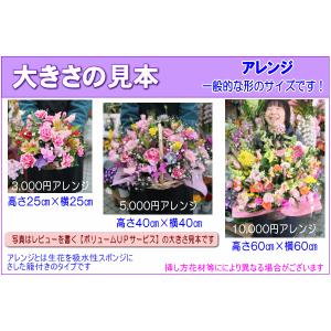 花 ギフト 誕生日 9月の誕生花 デザイナーに...の詳細画像3