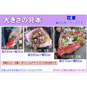 花 ギフト 誕生日 9月の誕生花 デザイナーに...の詳細画像4