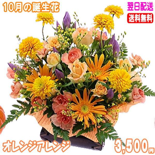 花 ギフト 誕生日 10月の誕生花 ビタミンオレンジアレンジ3,500円 送料無料 翌日配達  花言...