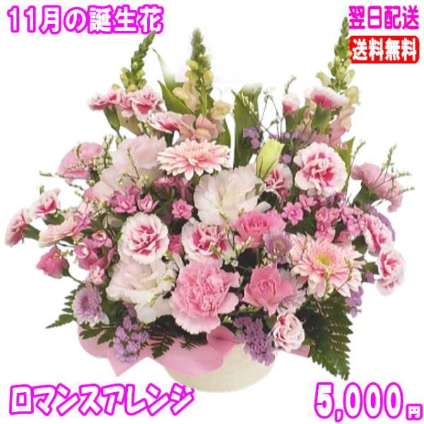 花 ギフト 誕生日 11月の誕生花 ロマンスアレンジ5,000円 送料無料 翌日配達  花言葉付き ...