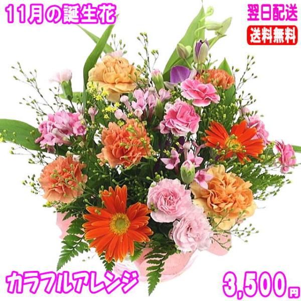 花 ギフト 誕生日 11月の誕生花 カラフルアレンジ3,500円 送料無料 翌日配達  花言葉付き ...