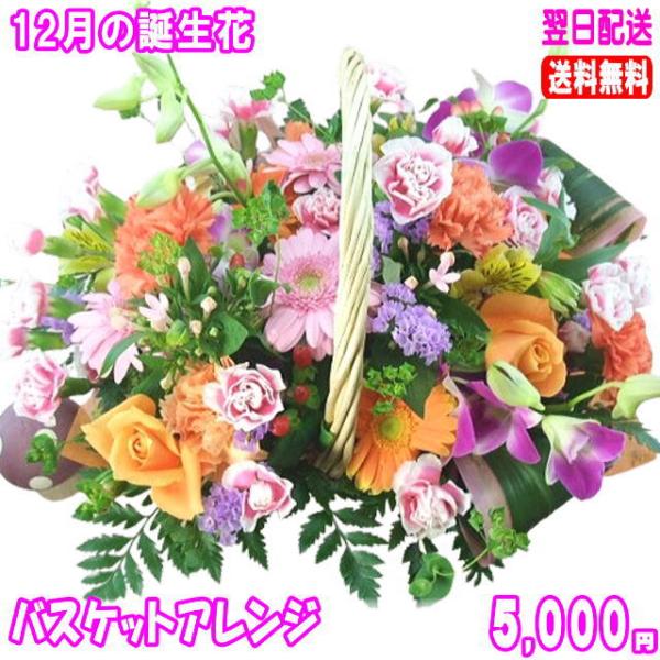 花 ギフト 誕生日 12月の誕生花バスケットアレンジ5,000円 送料無料 翌日配達  花言葉付きデ...