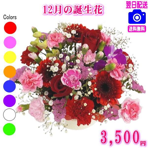 花 ギフト 誕生日 12月の誕生花デザイナーにおまかせ3,500円 送料無料 翌日配達  デンファレ...