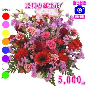 花 ギフト 誕生日 12月の誕生花デザイナーにおまかせ5,000円 送料無料 翌日配達   デンファレ   フラワーアレンジ・花束
