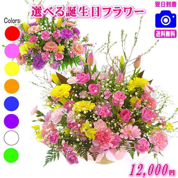 花 ギフト 誕生日 フラワーアレンジメント 花束 12,000円 送料無料 翌日配達  あすつく対応...