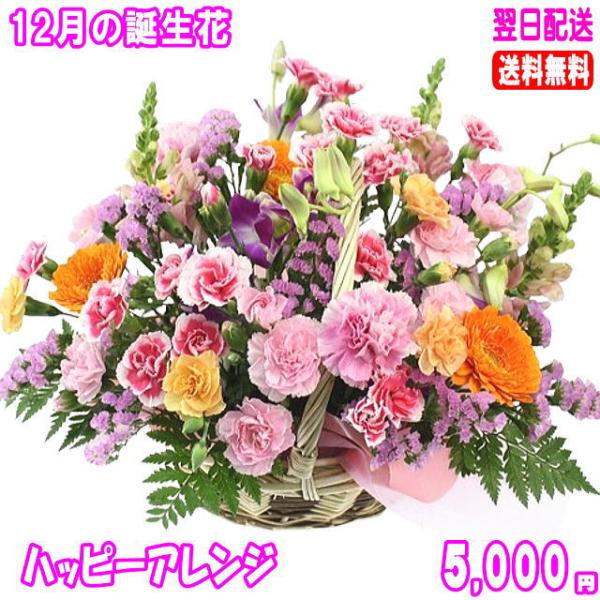花 ギフト 誕生日 12月の誕生花ハッピーアレンジ5,000円 送料無料 翌日配達  花言葉付きデン...