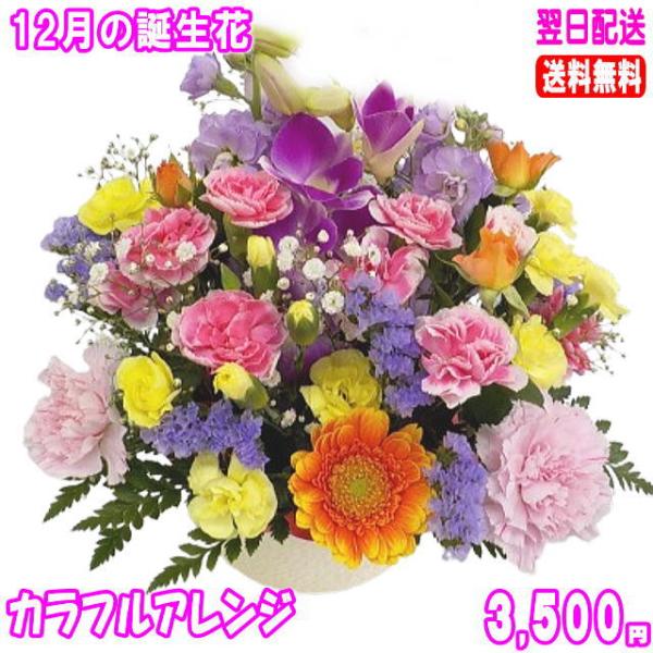 花 ギフト 誕生日 12月の誕生花カラフルアレンジ3,500円 送料無料 翌日配達  花言葉付きデン...