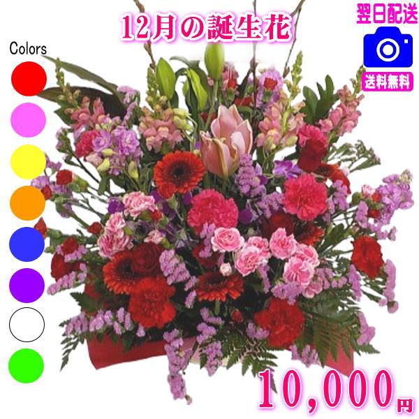 花 ギフト 誕生日 12月の誕生花デザイナーにおまかせ10,000円 送料無料 翌日配達  デンファ...