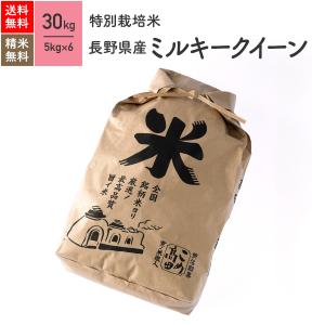 米 お米 30kg ミルキークイーン 長野県産 特別栽培米 5年産｜eekome
