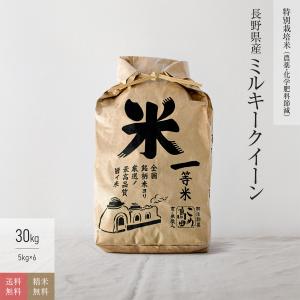 キヌヒカリ 新米 お米 20kg 京都 きぬひかり 玄米 5kg×4袋 令和7年産