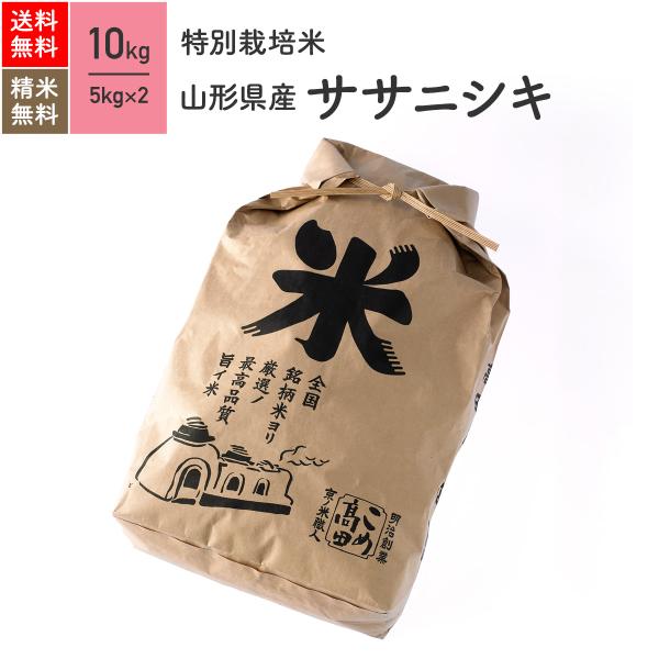 米 お米 10kg ササニシキ 山形県産 特別栽培米 7年産