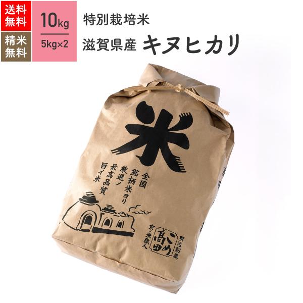 米 お米 10kg キヌヒカリ 滋賀県産 特別栽培米 5年産
