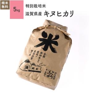 米 お米 5kg キヌヒカリ 滋賀県産 特別栽培米 令和3年産｜eekome
