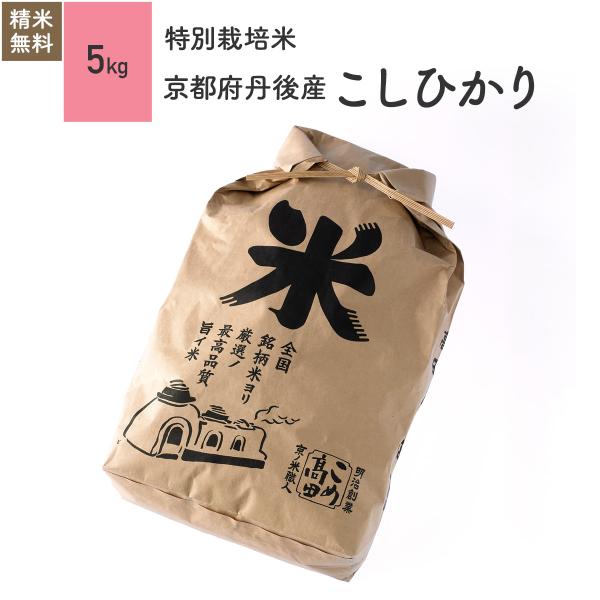 米 お米 5kg コシヒカリ 京都府丹後産 特別栽培米 5年産