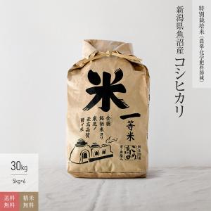コシヒカリ 米 お米 5kg 京都府丹後産 特別栽培米 7年産 : 京の米職人