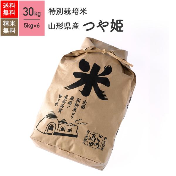 米 お米 30kg つや姫 山形県産 特別栽培米 5年産