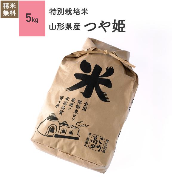 米 お米 5kg つや姫 山形県産 特別栽培米 5年産