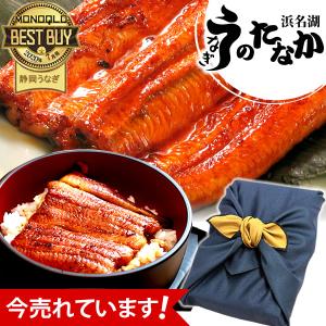 父の日 うなぎ 早期 国産 プレゼント ギフト 50代 60代 70代 80代 2024 食べ物 海鮮 早割 蒲焼き 浜名湖 誕生日 お祝い 内祝 鰻 風呂敷 2〜3人用 3尾｜浜名湖 うなぎのたなか