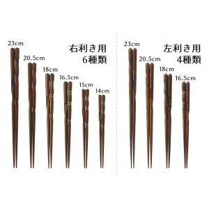 名入れ代込み 矯正箸(トレーニング)三点支持箸...の詳細画像1
