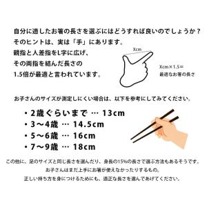 名入れ代込み 矯正箸(トレーニング)三点支持箸...の詳細画像2