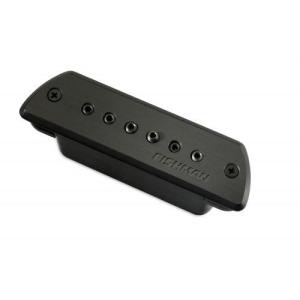 Fishman FULL CIRCLE 002｜PRO-FCL-002｜並行輸入品 : MadeFromFood