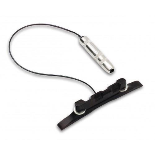 Fishman M-100｜PRO-M10-0MA｜並行輸入品